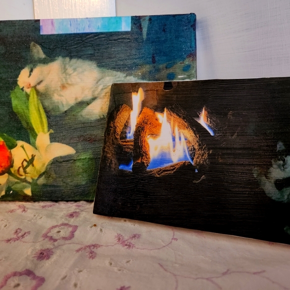 Hand Crafted Art Pop Art 2 Mini Canvas Cat Image Transfer Collages